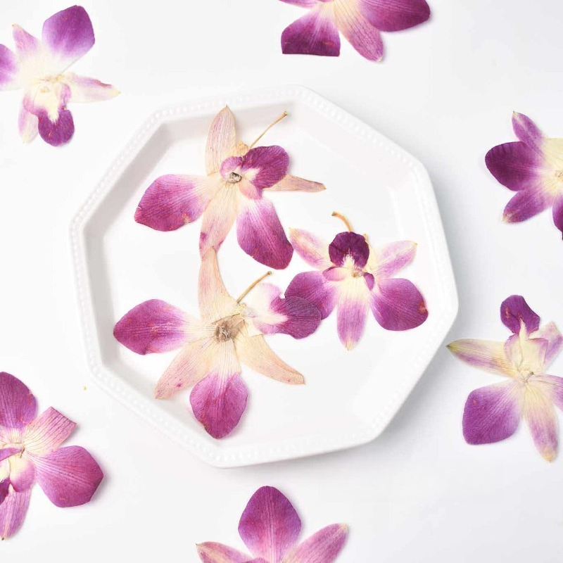 Resin Art Baby - 4 Stück, Echte Gepresste Schmetterlingsorchideen-Blüten für